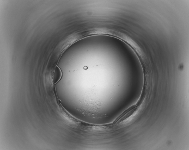 X0000093760857200710231251