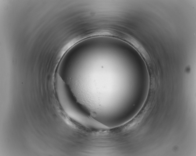 X0000093760858200710231251