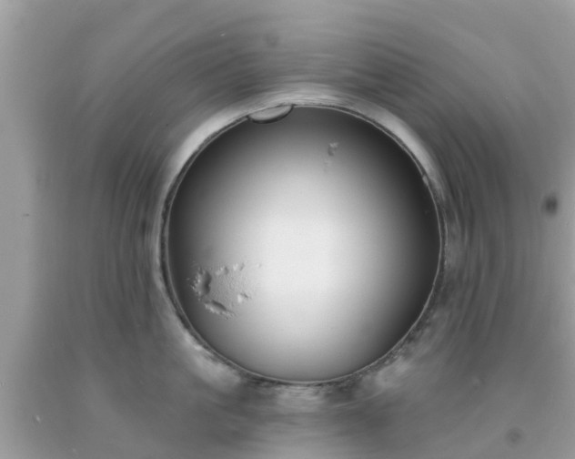 X0000093760861200710231251