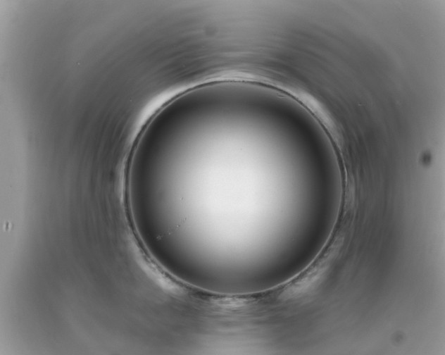 X0000093760862200710231251
