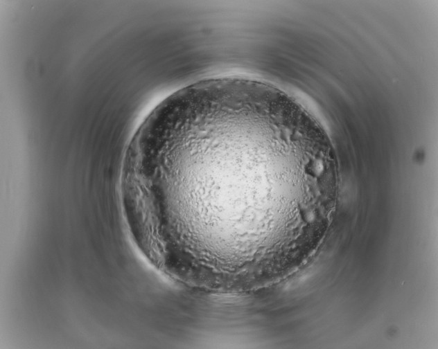 X0000093760863200710231251