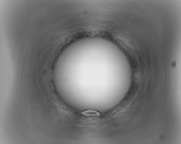 X0000093760865200710231250