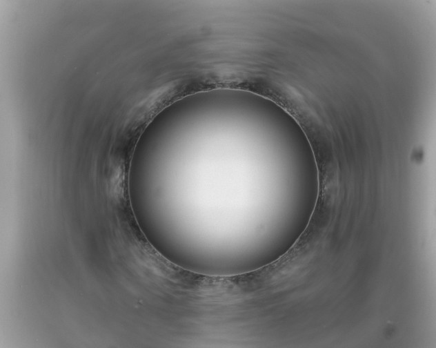 X0000093760866200710231250