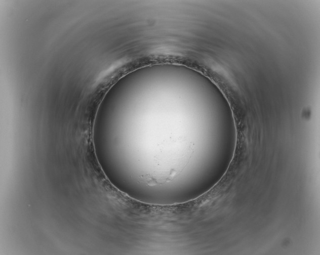 X0000093760870200710231250