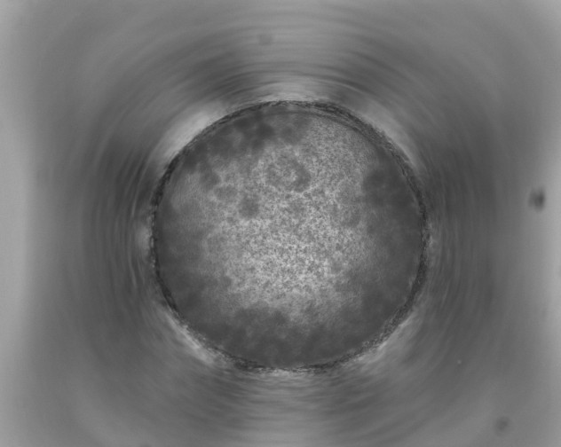 X0000093760874200710231250