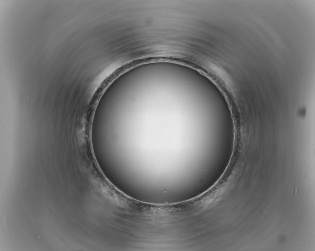 X0000093760875200710231250