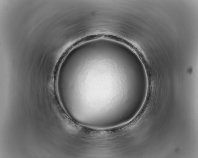 X0000093760879200710231250