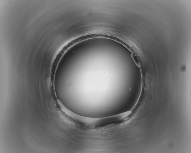 X0000093760880200710231250