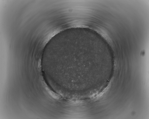 X0000093760881200710231250