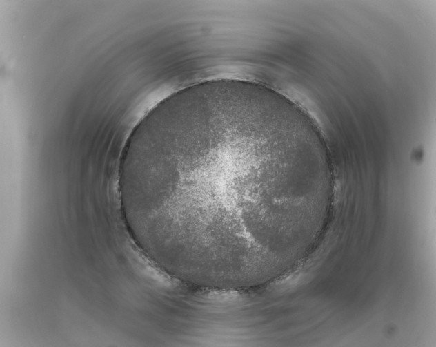 X0000093760882200710231250