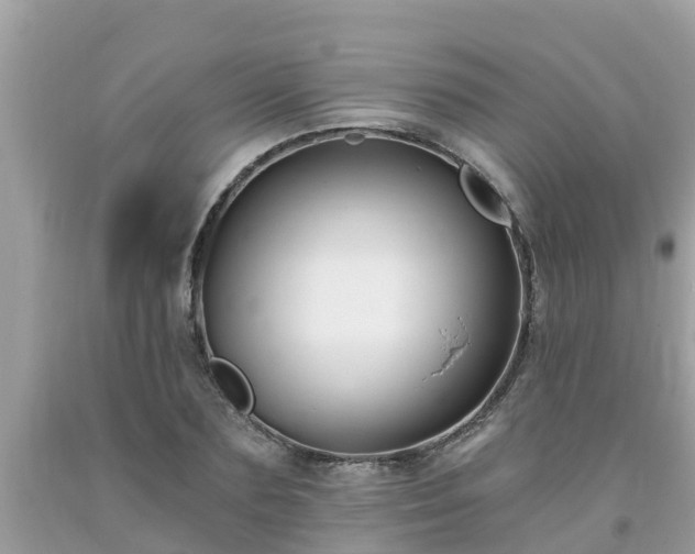X0000093760883200710231250