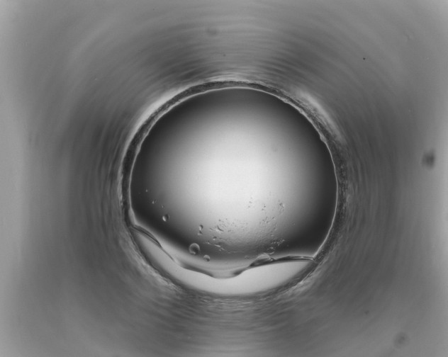X0000093760884200710231250