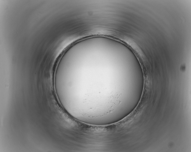 X0000093760886200710231250
