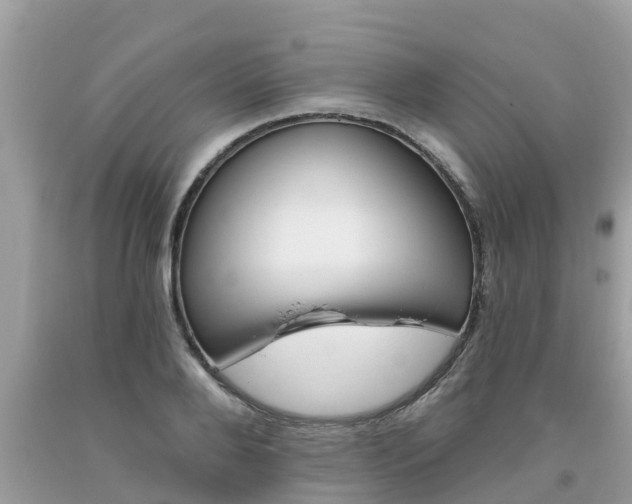 X0000093760888200710231250