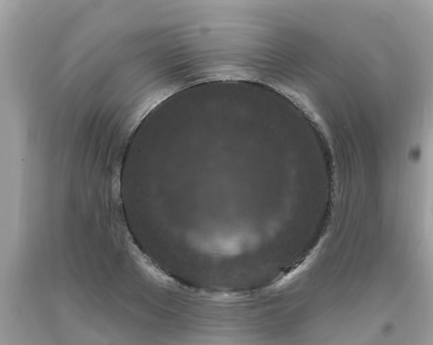 X0000093760889200710231250