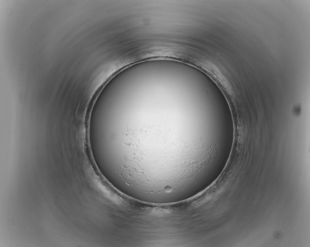X0000093760890200710231250
