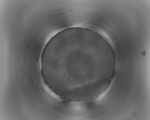X0000093760892200710231250