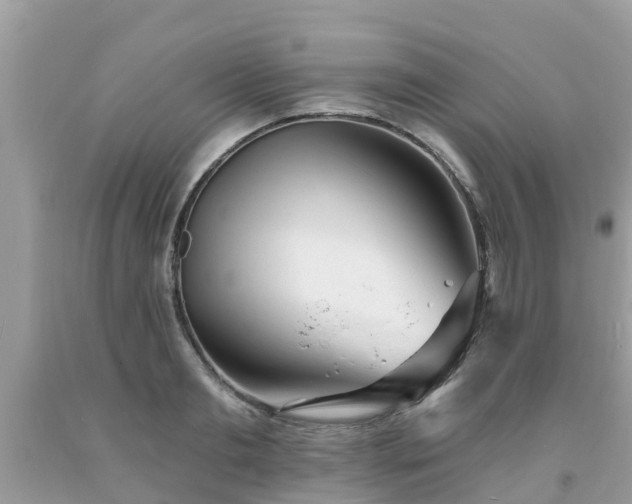 X0000093760893200710231250