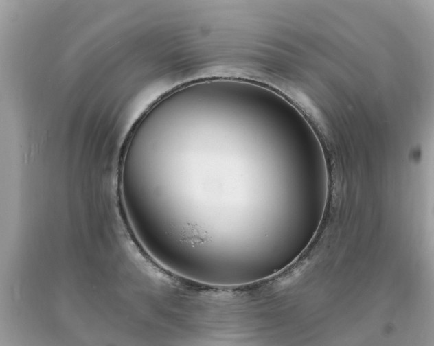 X0000093760896200710231250