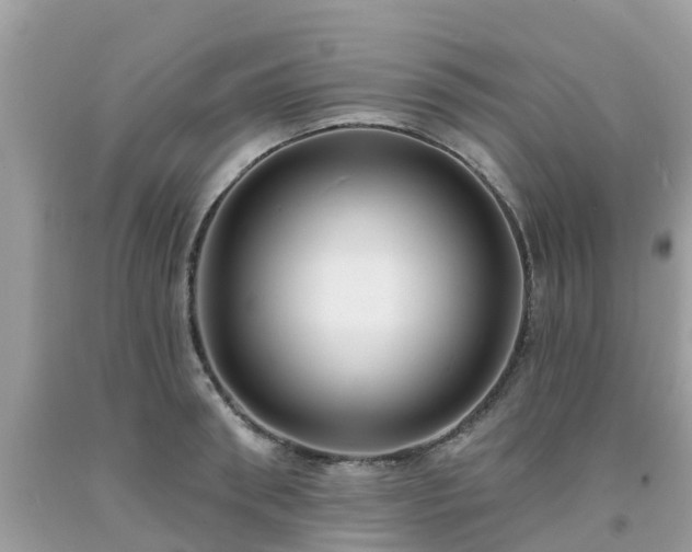 X0000093760898200710231250