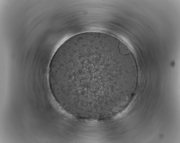 X0000093760899200710231250
