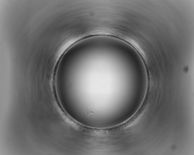 X0000093760901200710231250