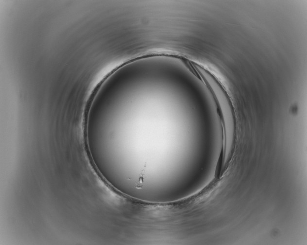 X0000093760902200710231250