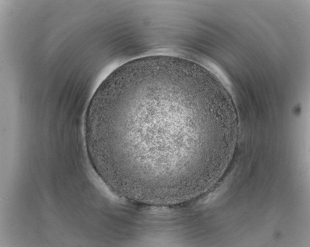 X0000093760907200710231250