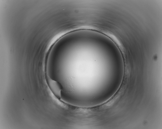 X0000093760910200710231250