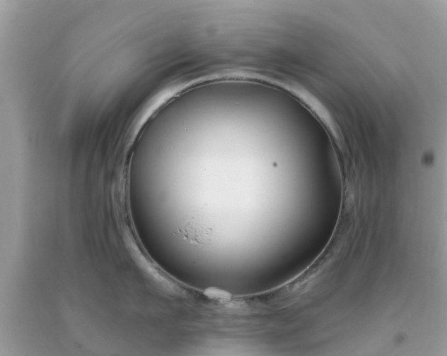 X0000093760911200710231250