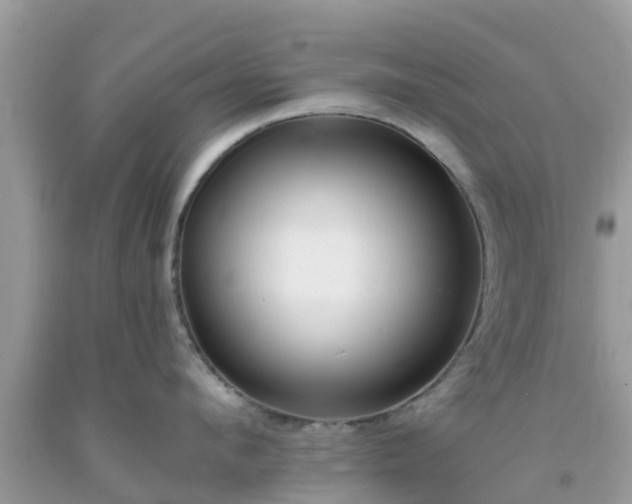 X0000093760912200710231250