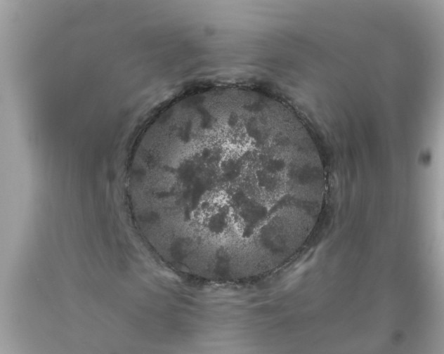 X0000093760913200710231249