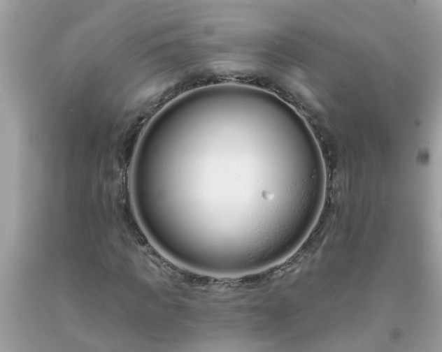 X0000093760917200710231249