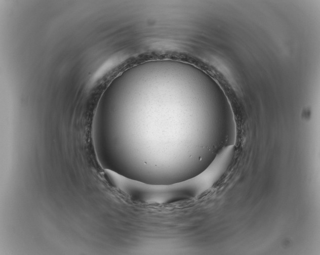 X0000093760919200710231249