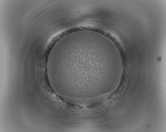 X0000093760920200710231249