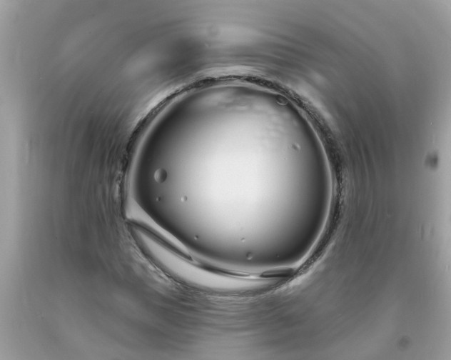 X0000093760921200710231249