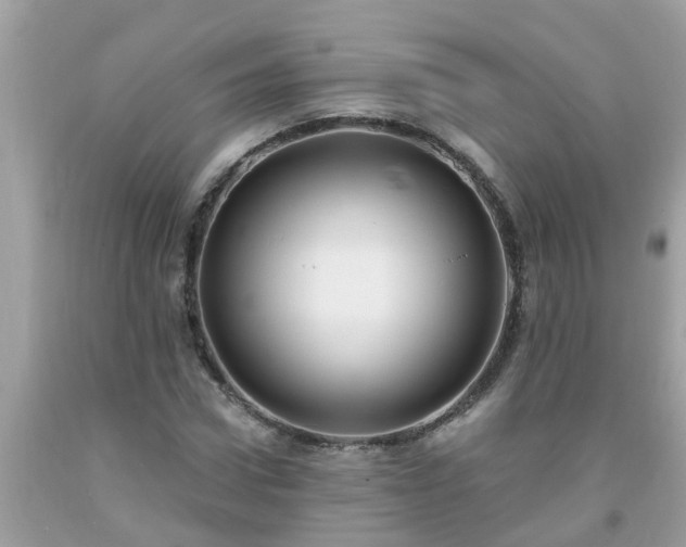 X0000093760922200710231249