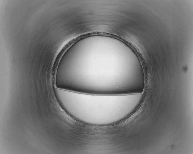 X0000093760924200710231249