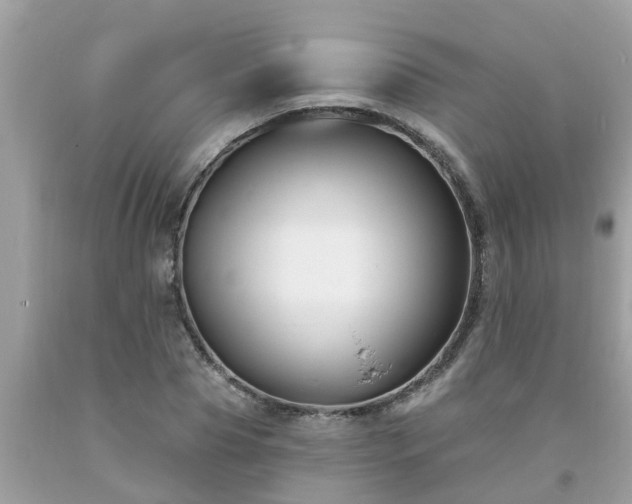 X0000093760929200710231249