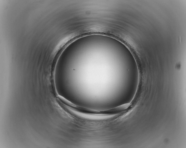 X0000093760930200710231249