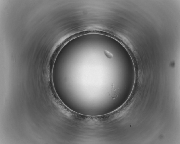 X0000093760931200710231249