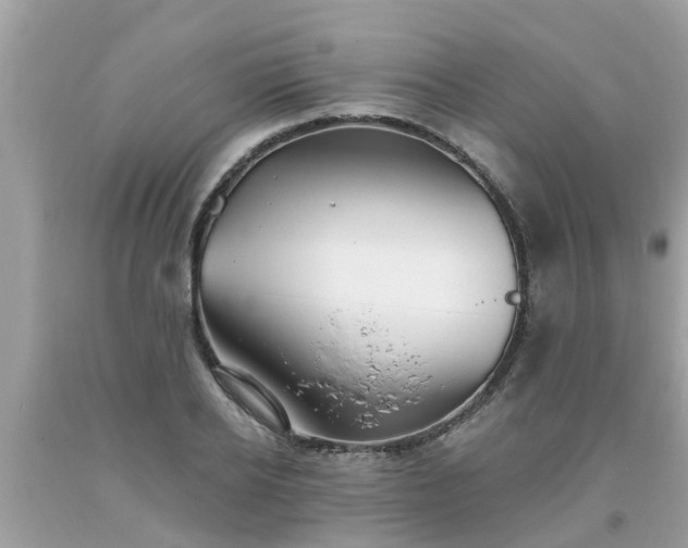 X0000093760934200710231249