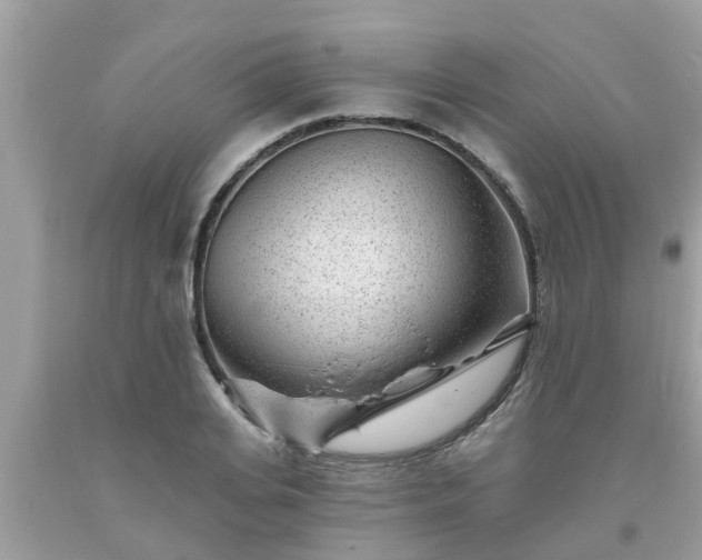 X0000093760935200710231249