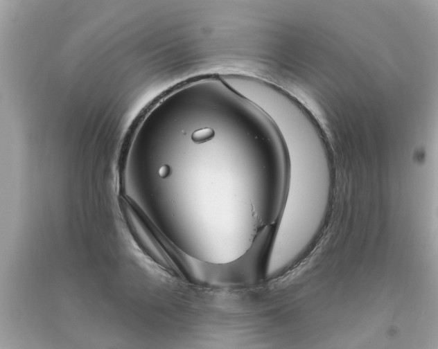 X0000093760936200710231249
