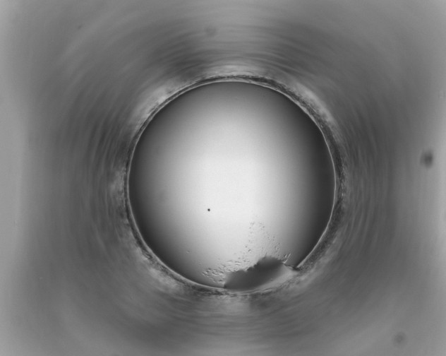 X0000093760937200710231249