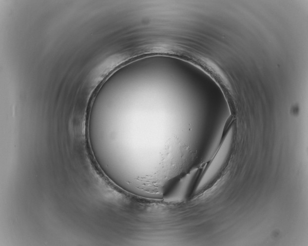 X0000093760938200710231249