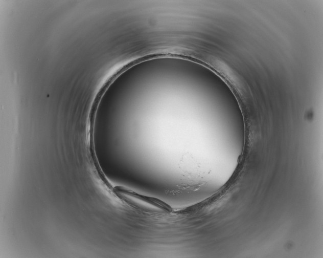 X0000093760940200710231249