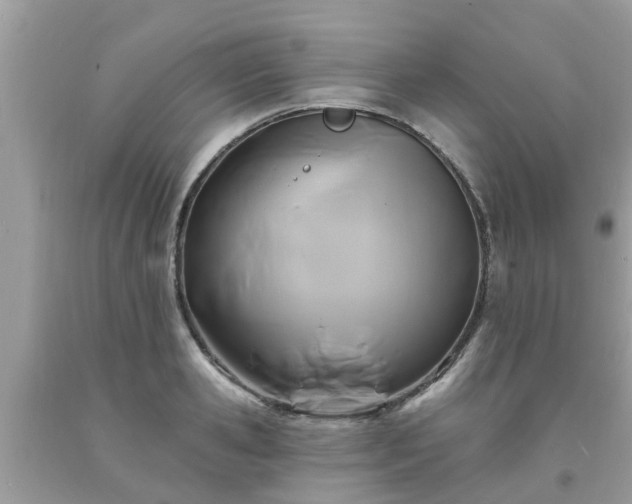 X0000093760941200710231249