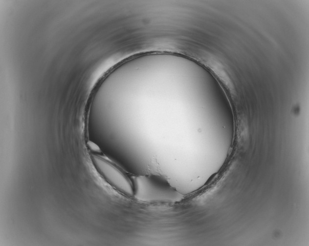 X0000093760944200710231249