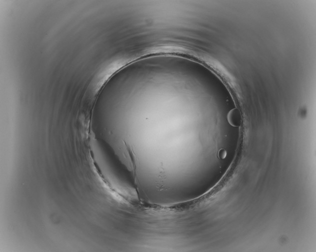 X0000093760945200710231249